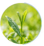 en-prostapeak Ingredients