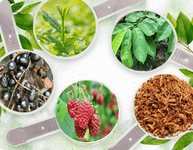 en-prostapeak Ingredients
